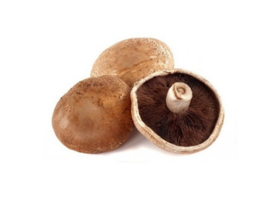 Funghi Portobello (Champignon)